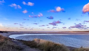 baie-de-canche-hiver-24-15-01-2024-02